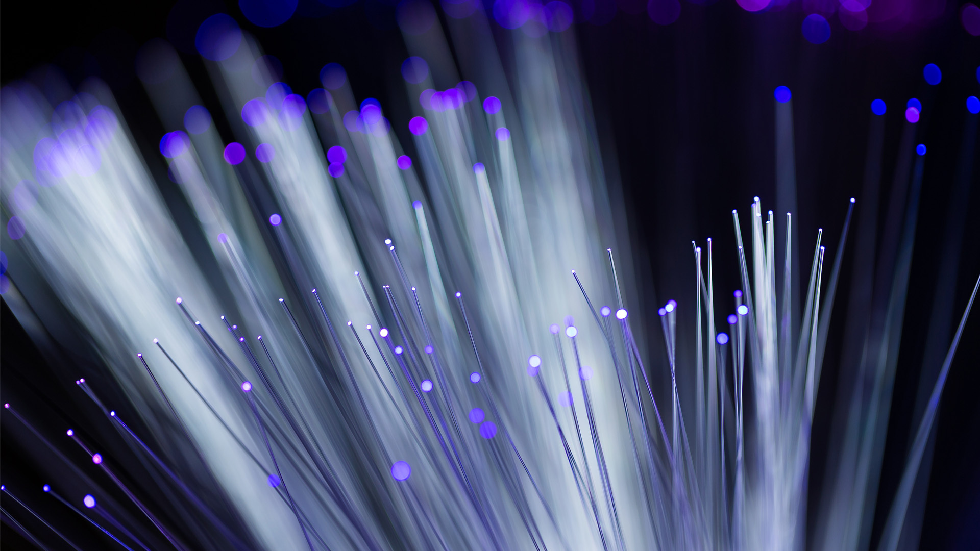 Fiber 3