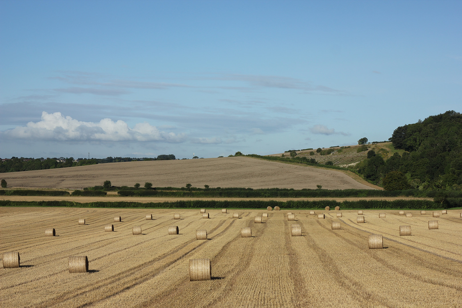 landscape-of-hay-rolls