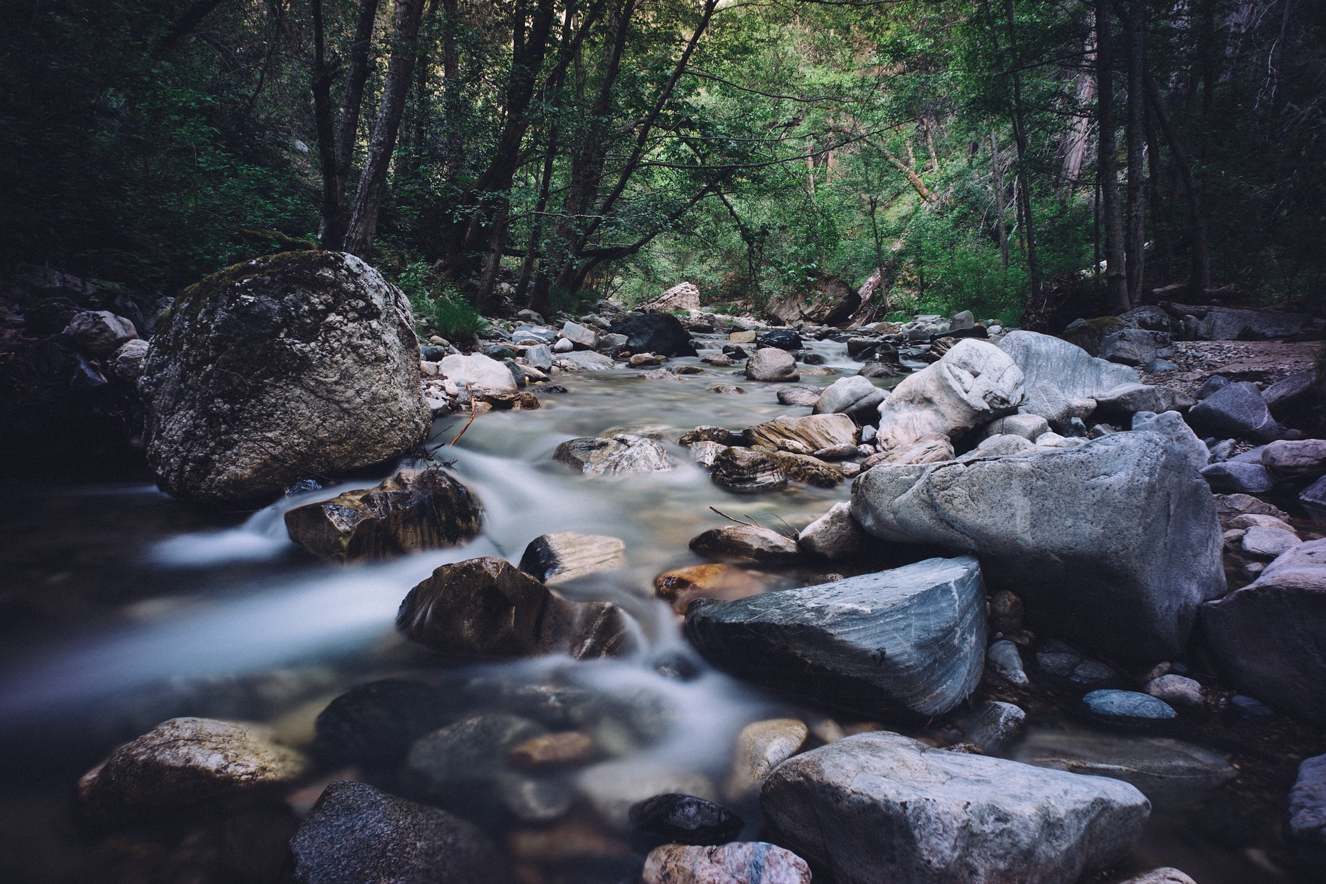 How Nature Sounds Comfort Patients